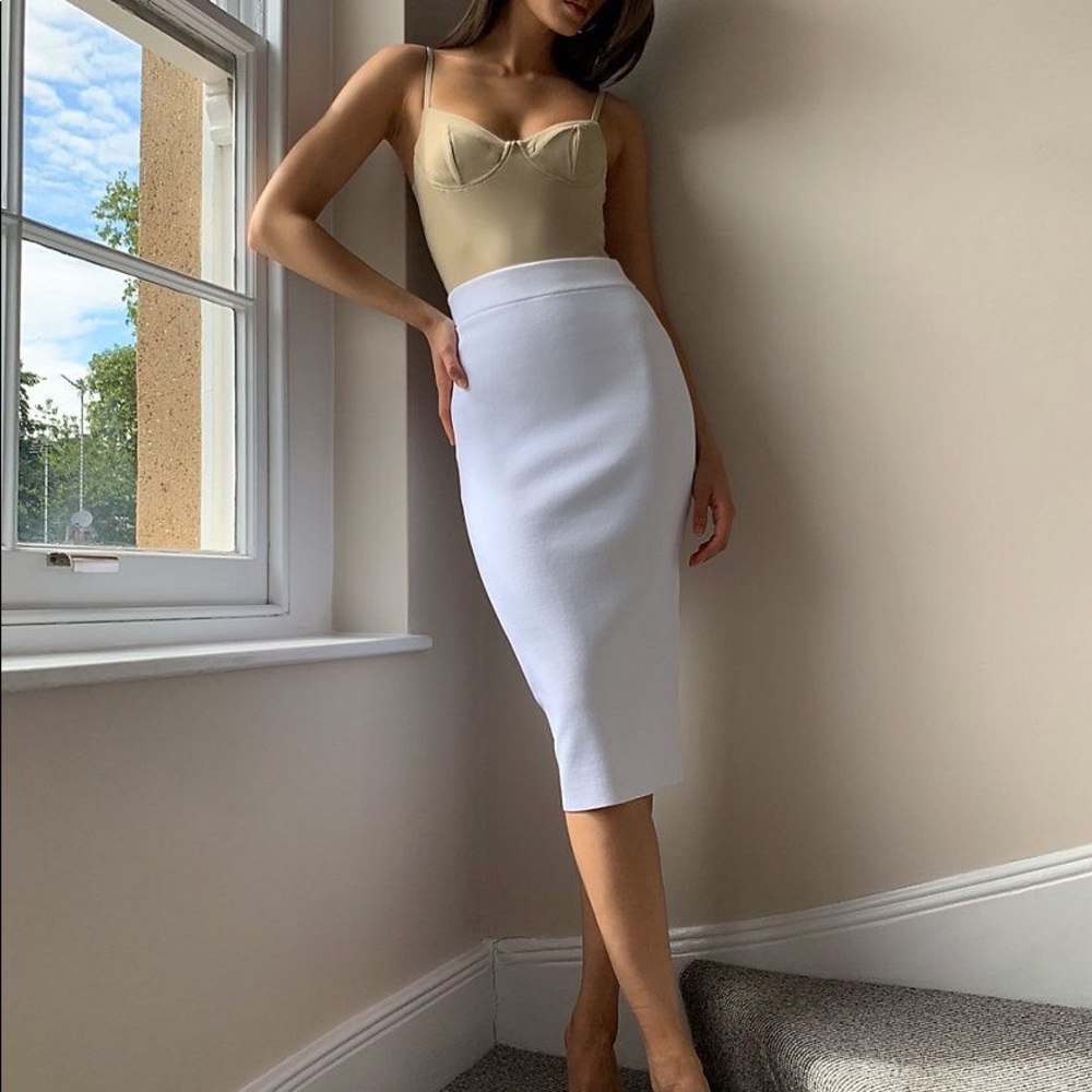 Babaton Sculpt Knit Tube Skirt Sculpting knit pencil skirt